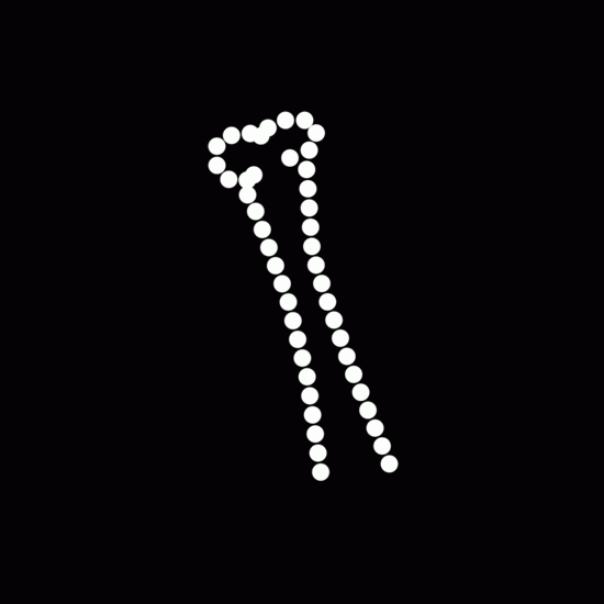 4' Bone