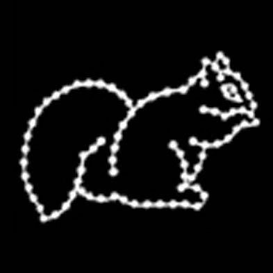 4' Squirrel
