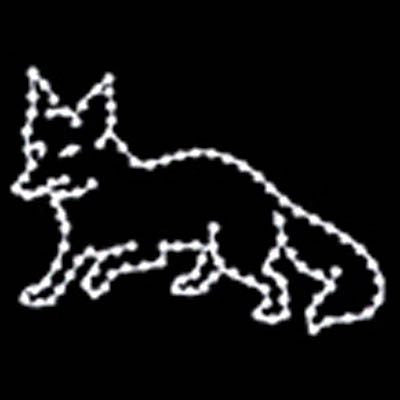 4' Fox