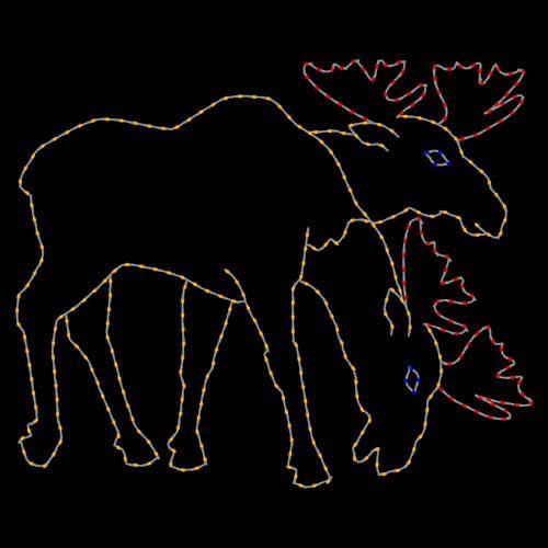 10' Moose