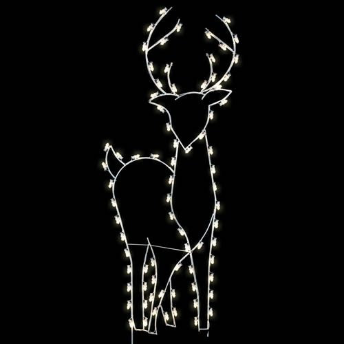 8' Buck - Front Facing