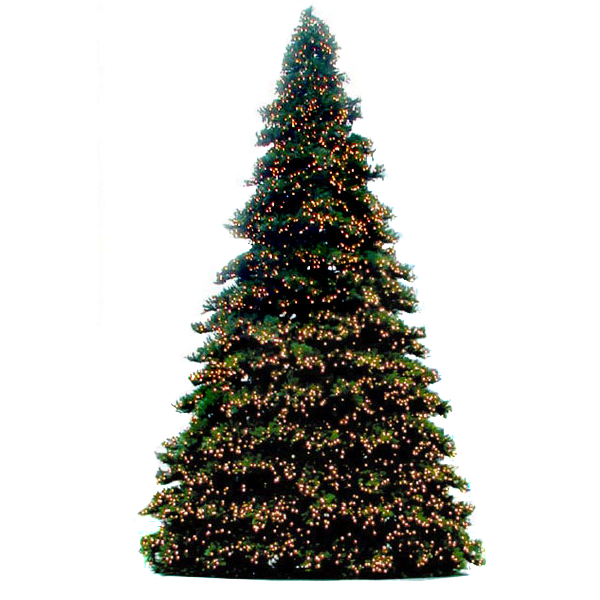 Giant Everest Tree - Incandescent Bulbs