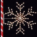 Snowflakes