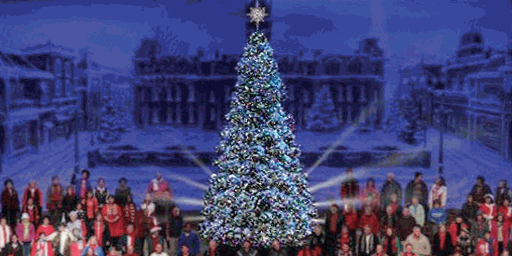 Commercial Christmas Trees