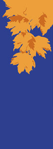 Fall Leaves