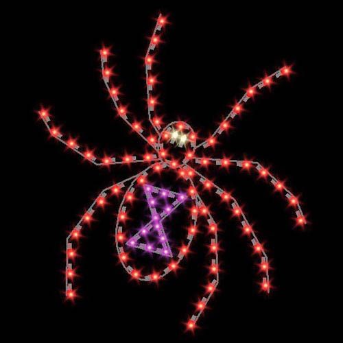 5' Black Widow