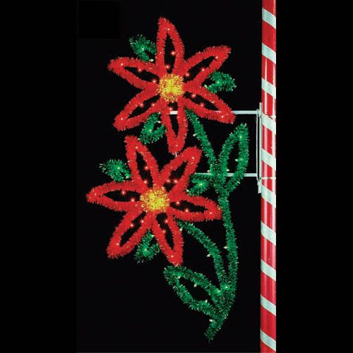 7 1/2' Double Poinsettia