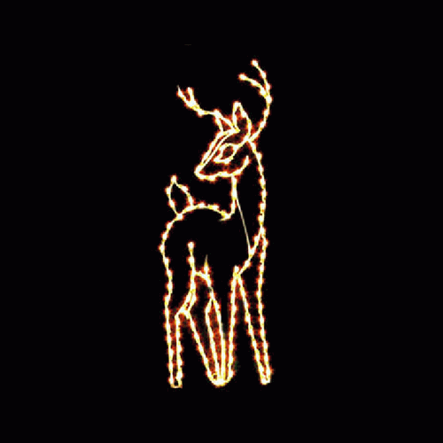 7 1/2' Standing Buck