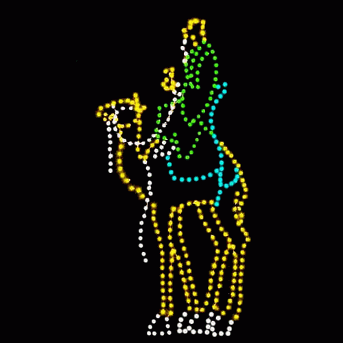13' Wiseman on Camel