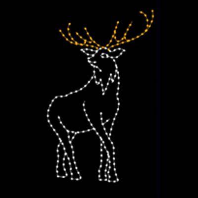 10' Elk