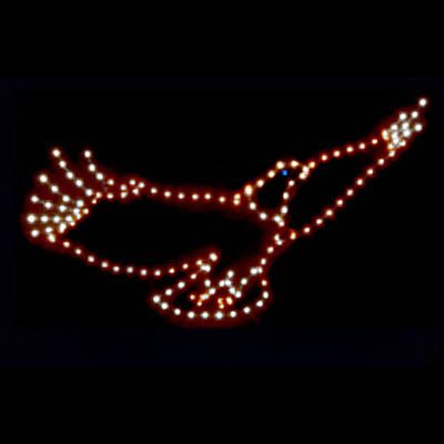5' x 10' Flying Eagle