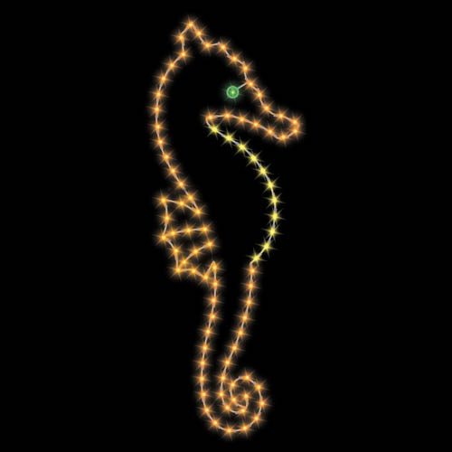 8' Seahorse