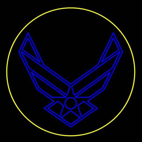 12' Air Force Insignia