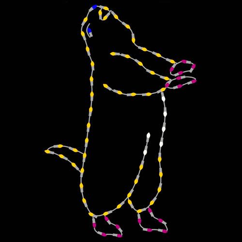 5' Prairie Dog