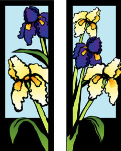 Iris
