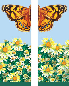 Butterfly & Daisies