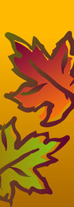 Fall Leaves