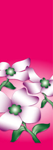 Dogwood Pink