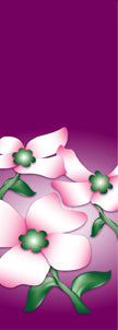 Dogwood Purple