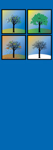 Seasons Tree