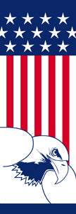 Flag & Eagle
