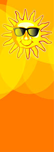 Sunny Sunglasses