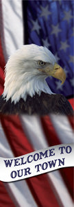 Eagle & Flag
