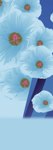 Blue Floral