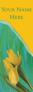 Daffodils