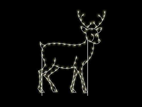 8' Buck - Side Facing