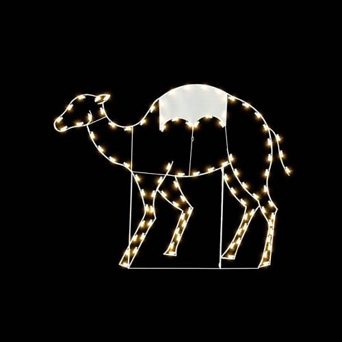 6' Camel