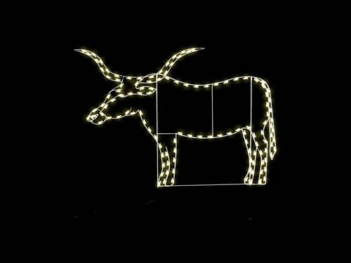 10' x 6.5' Texas Longhorn
