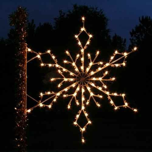 Alpine Snowflake