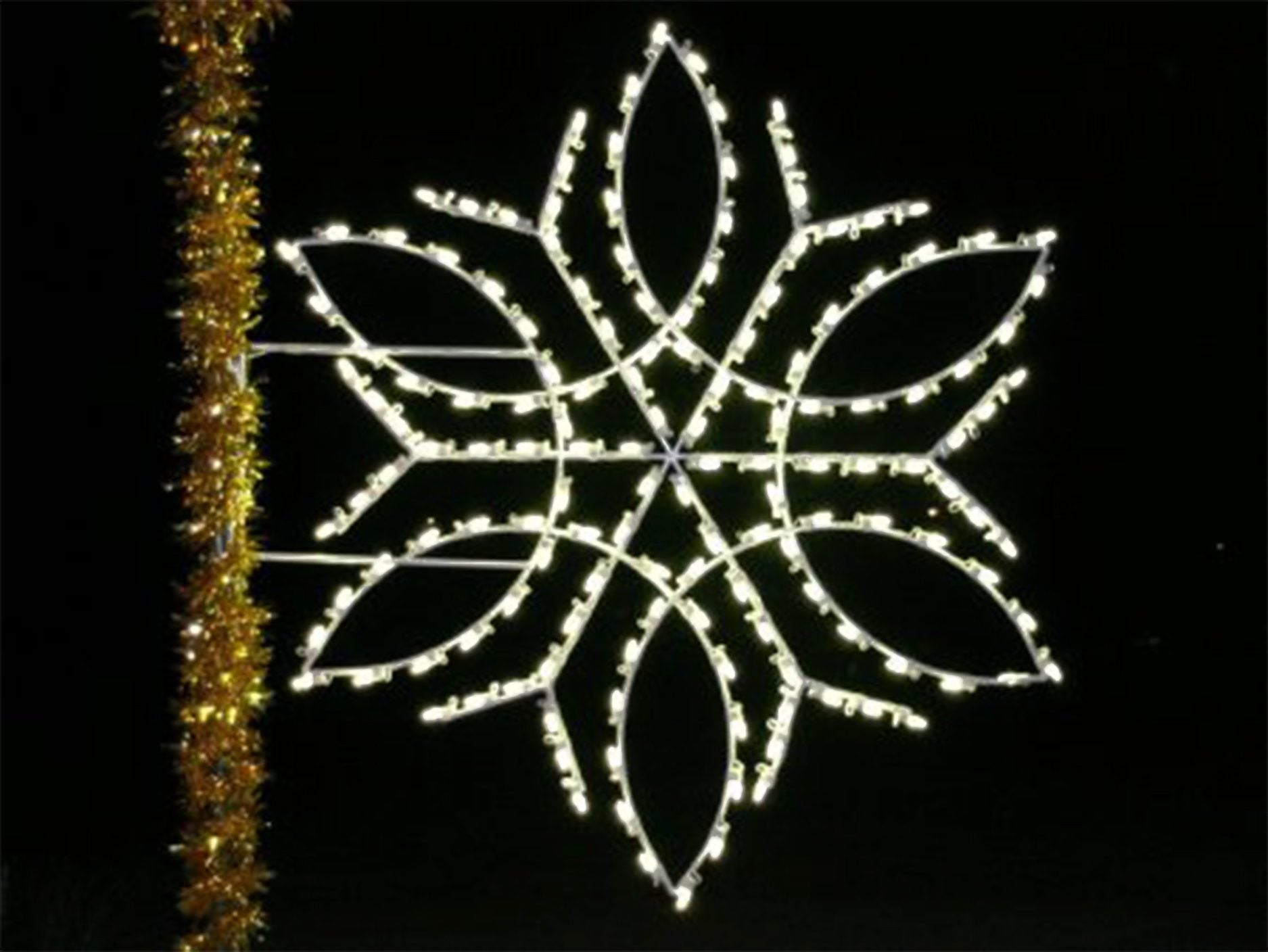 Majestic Snowflake