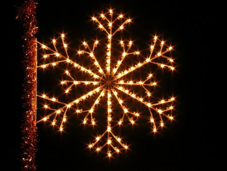 Mountain Snowflake