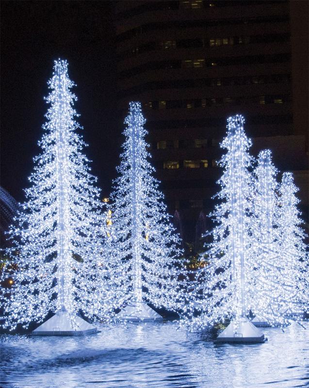 Ice Light Trees