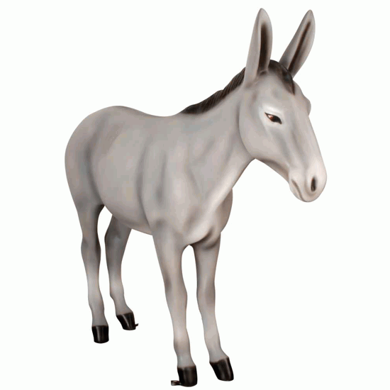 Exclusive Series - Donkey