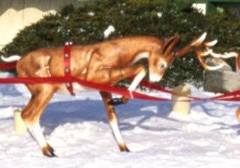 Fawn Reindeer (Head Down)