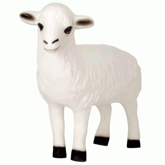 Exclusive Series - Sheep (Head Up)