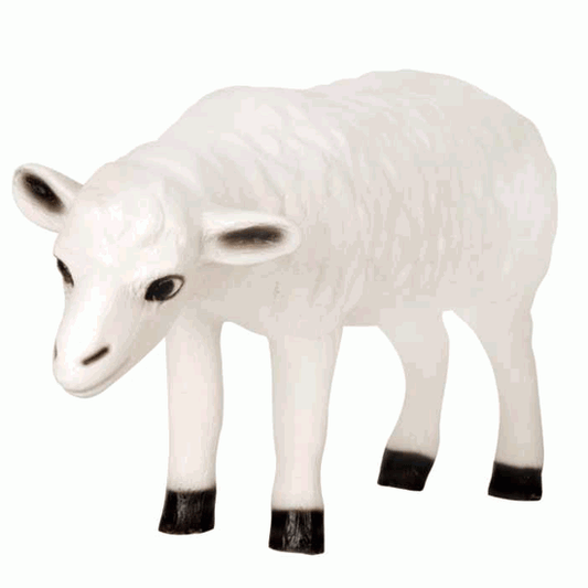 Exclusive Series - Sheep (Head Down)