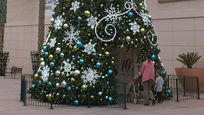 Walk Through Tree