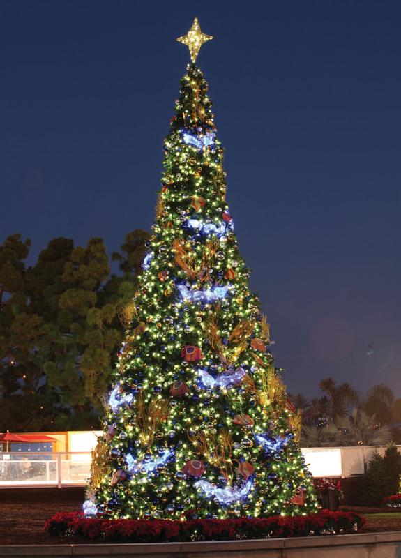 Star Pattern Tree