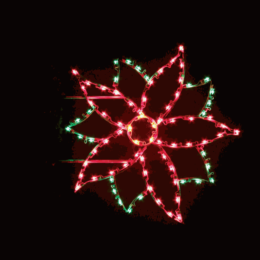 6' Poinsettia