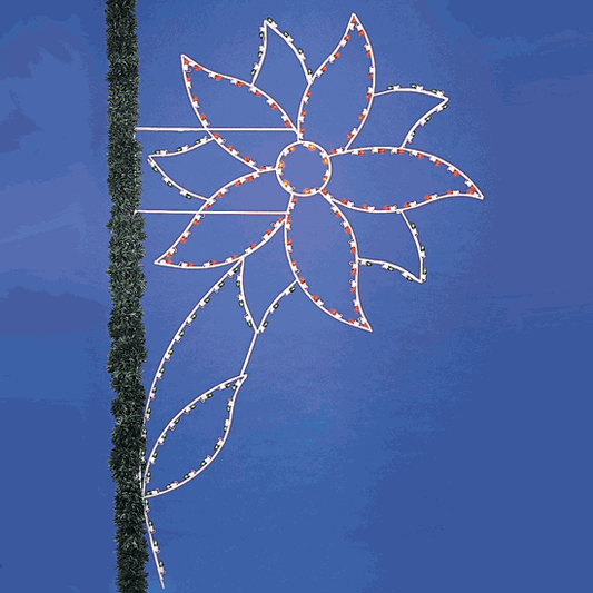 10' Poinsettia
