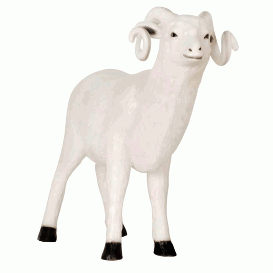 Exclusive Series - Ram