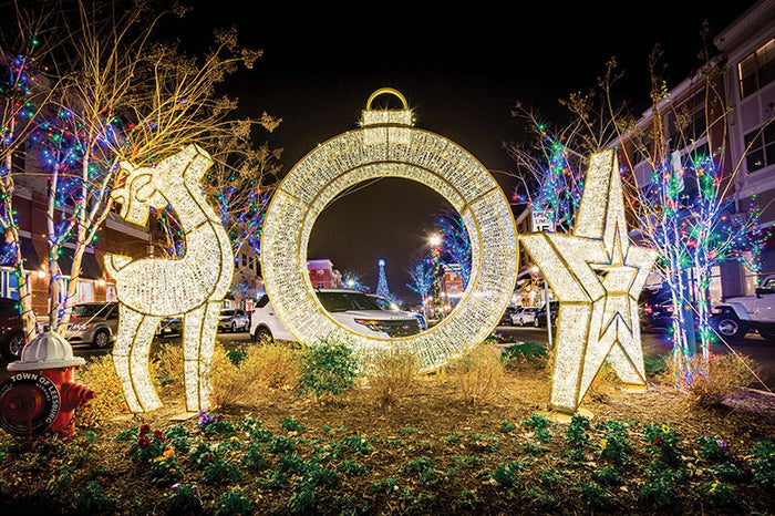 Ornament & Deer