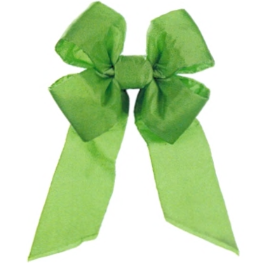 Spring Scarab Green Nylon Bow