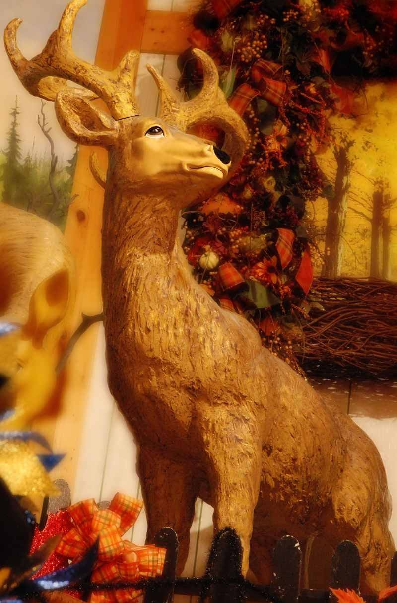 Standing Buck