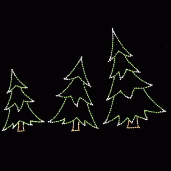 Accent Fir Tree