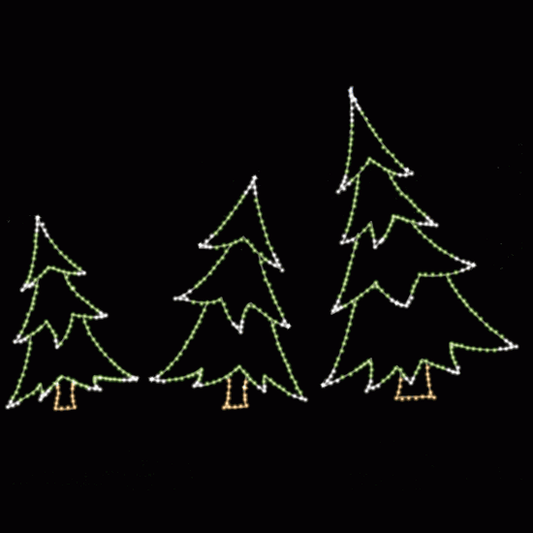 Accent Fir Tree